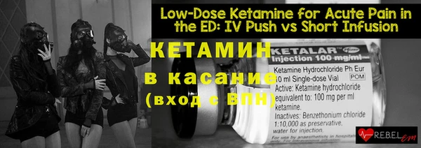 индика Елабуга
