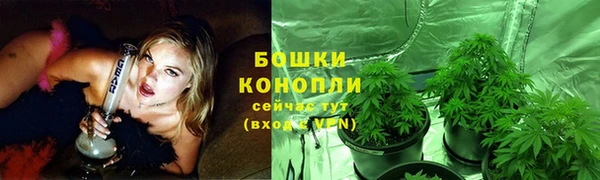 ГАЛЛЮЦИНОГЕННЫЕ ГРИБЫ Заволжск