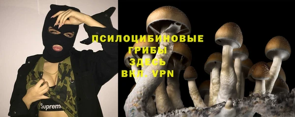круглые Заводоуковск