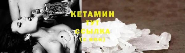 индика Елабуга